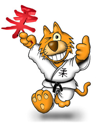 judo